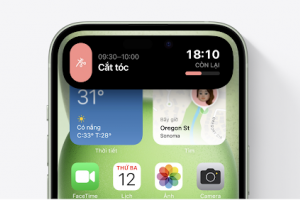  Dynamic lsland được tích hợp trên iPhone 15 và iPhone 15 Plus