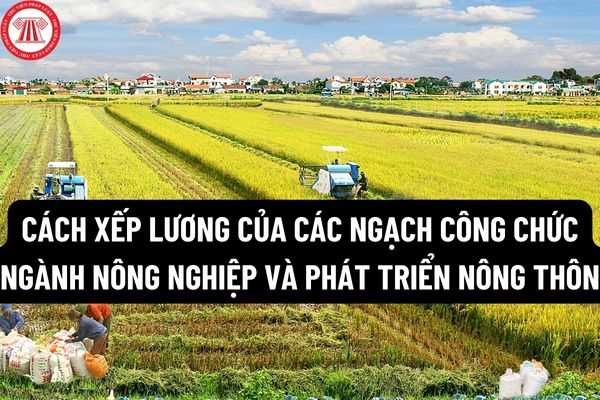 Những chính sách quan trọng về tiền lương công chức, viên chức có hiệu lực từ tháng 10/2022